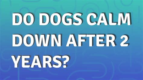 Do dogs calm down after 2?